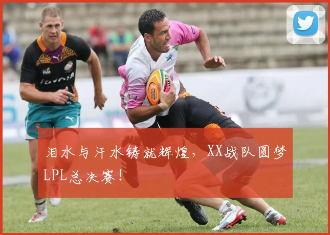 泪水与汗水铸就辉煌，XX战队圆梦LPL总决赛！