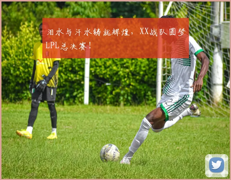 泪水与汗水铸就辉煌，XX战队圆梦LPL总决赛！