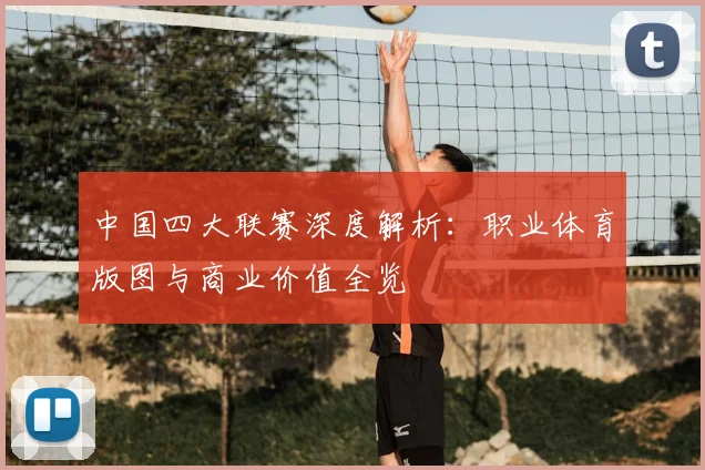 中国四大联赛深度解析：职业体育版图与商业价值全览